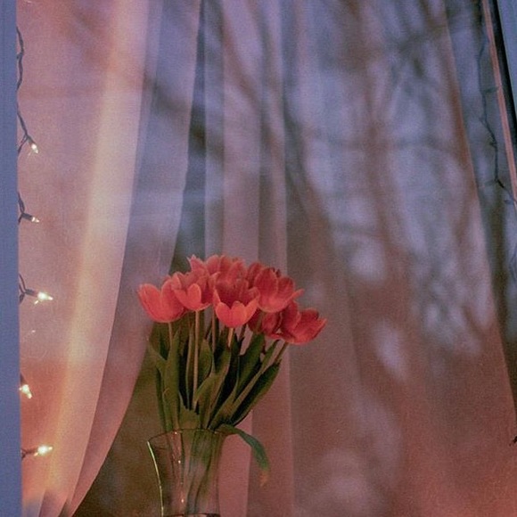 Meet your Posher, Marilyn - Picture 1 of 1